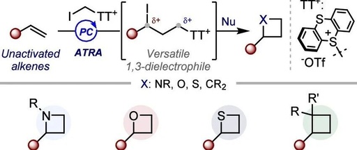 A Unified Synthetic Approach to N, O, S, C Cyclobutanes
