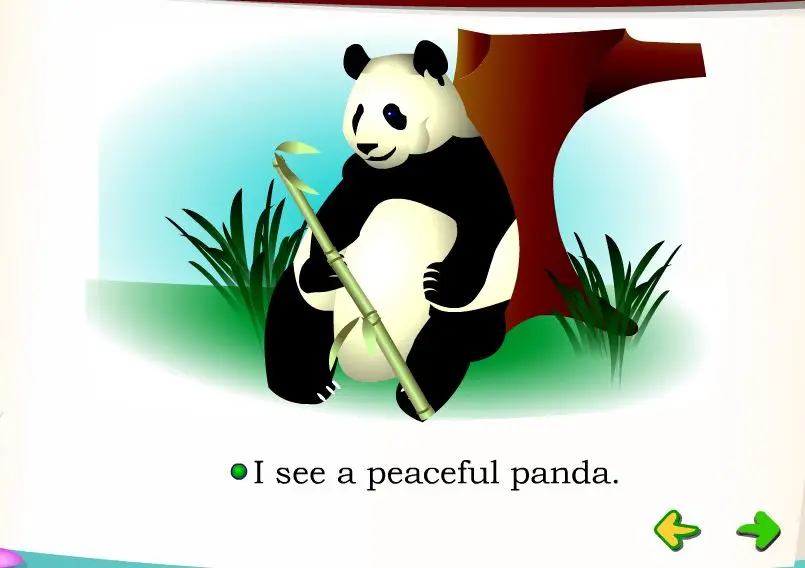 I See C and I See P Activities