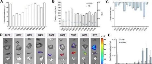 The Continuous Evolution of LNPs