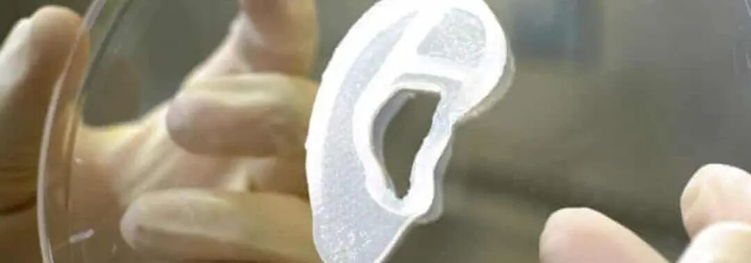 What Exactly is Biological 3D Printing?