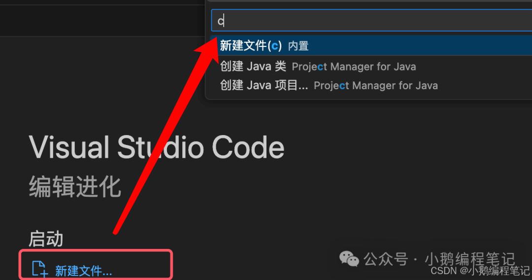 C Language Knowledge Base - (6) How to Download VSCode, Install and Uninstall VSCode, Install Plugins, and Write Hello World