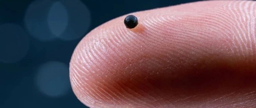 Microrobots Operating in Blood Vessels