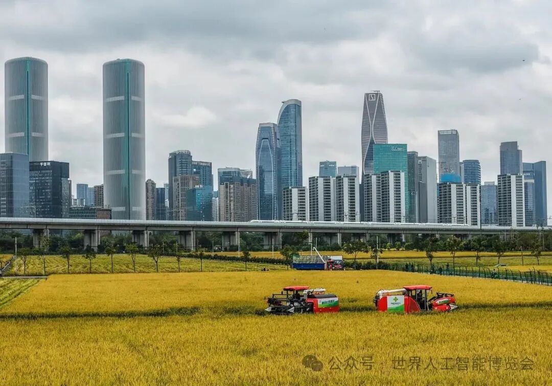 Hangzhou Becomes China's Cradle of Robotics and Artificial Intelligence