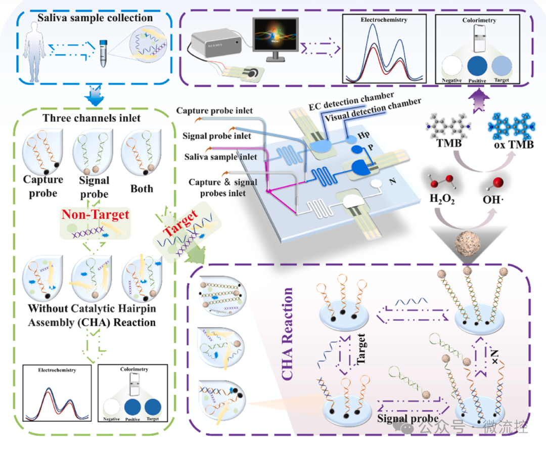 Development of a Dual-Mode Microfluidic Biosensor by China Pharmaceutical University for Highly Sensitive Detection of Helicobacter pylori Infection