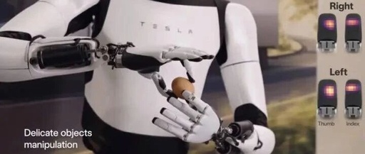 The Fate of Robots is Determined Not by AI or Algorithms, but by a Hand More Human-like