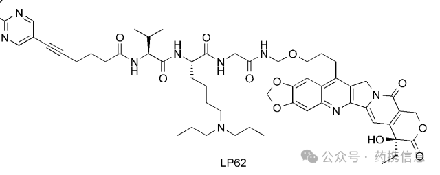 New Clinical Application of Henlius PD-L1 ADC-HLX43 in China Amidst Data Overload