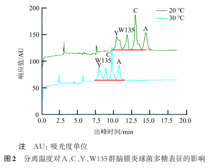 Determination of Polysaccharide Content and Molecular Size Distribution of A, C, Y, and W135 Group Meningococcal Polysaccharide Vaccine by Capillary Zone Electrophoresis
