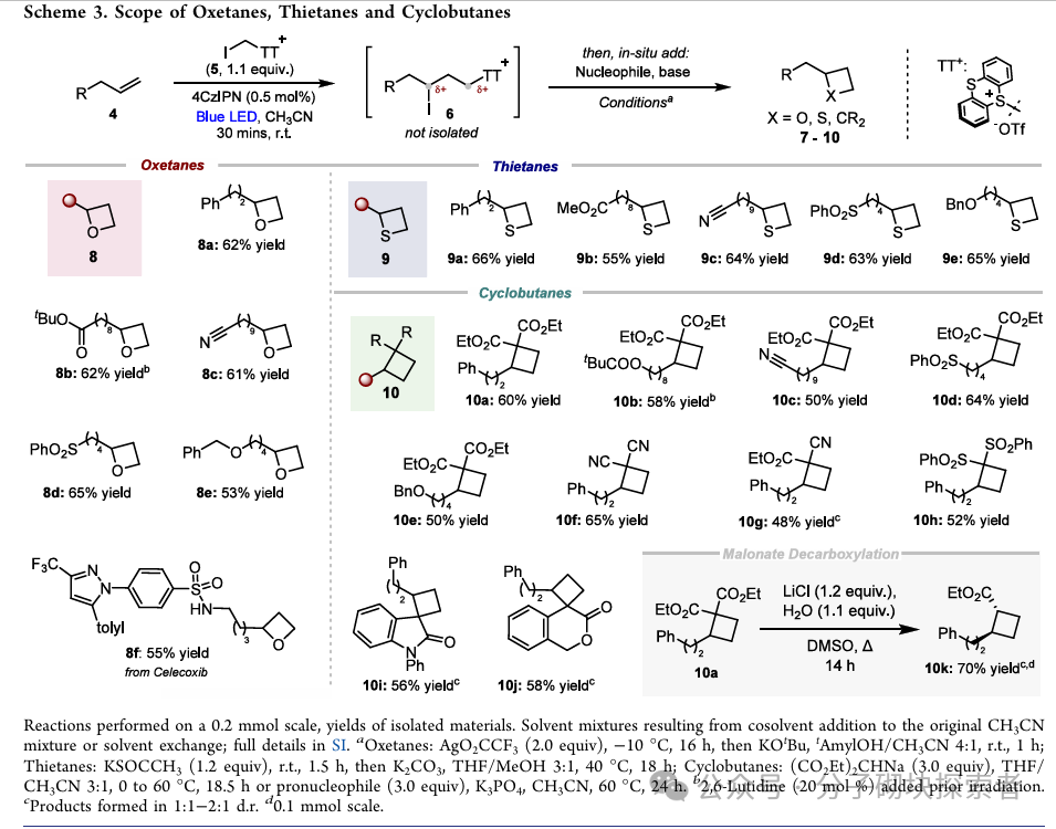 A Universal New Strategy for the Synthesis of 2-Alkyl Tetrahydrocarbons via Photocatalysis: Direct Synthesis from Simple Alkenes