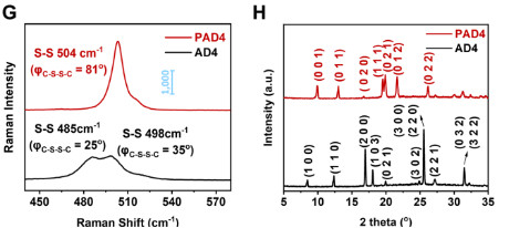 Single-Crystalline Poly(disulfide)s Enabled by Photo-Triggered Topochemical Ring-Opening Polymerization of 1,2-Dithiolane
