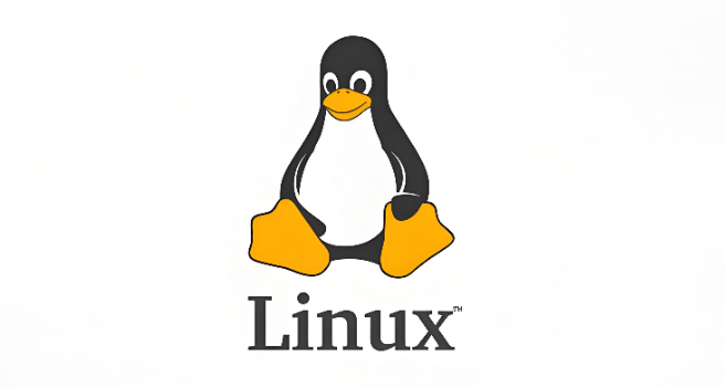 Abandoning Windows 11 for Linux: An Experience Beyond Expectations