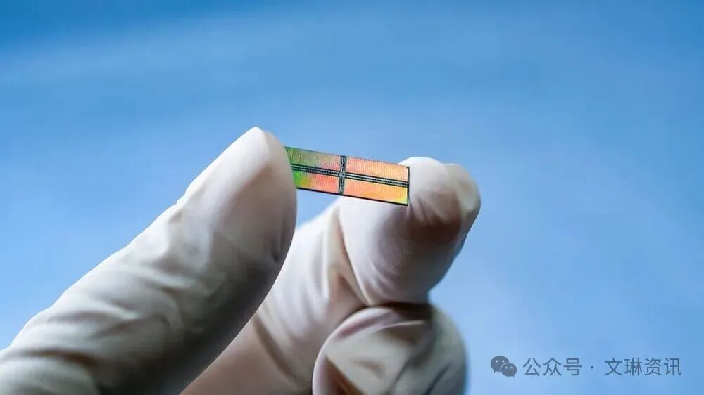 Amid Repeated Chip Bans, a Golden Investment Window for Chips