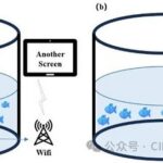 Professor Wang Yang's Research Group Achieves New Progress in Visual Detection of Fish Diseases Using TinyML