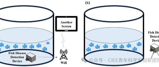 Professor Wang Yang's Research Group Achieves New Progress in Visual Detection of Fish Diseases Using TinyML
