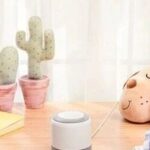 AI Toys vs Smart Speakers: Who is the 'Smart King' at Home?