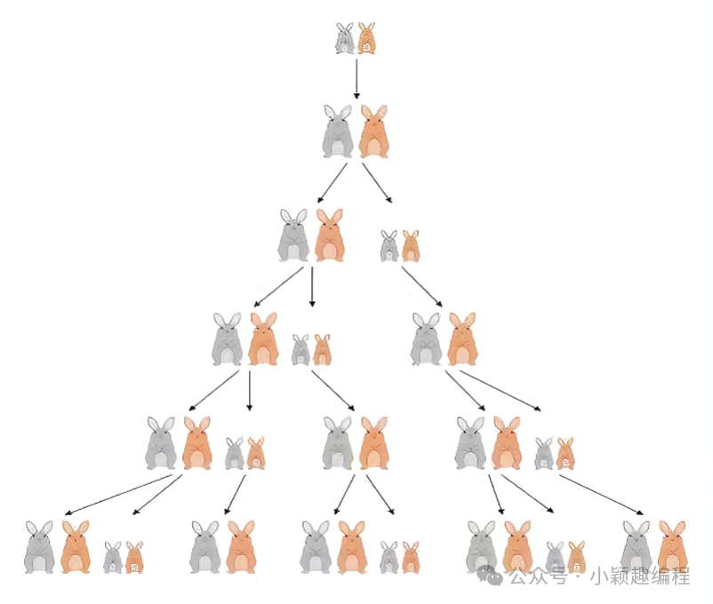 Fibonacci Sequence: From Rabbit Breeding to Algorithm Implementation