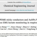 BreathFIT: Multimodal Real-Time Monitoring of User Respiratory Health with Wearable Sensors