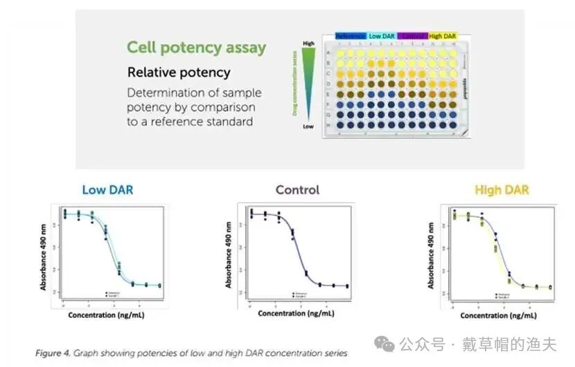 In Vitro Pharmacodynamic Evaluation - Development and Validation of Biological Activity Methods for ADC Drugs