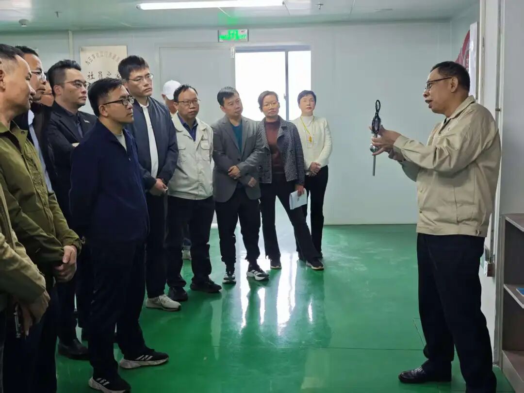 Exploring Specialized and Innovative 'Little Giant' Enterprises