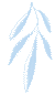 Analysis of C Language Exercises 4