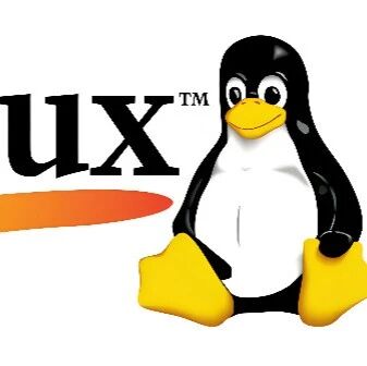 Resolving the 'aria2c: command not found' Issue on Linux