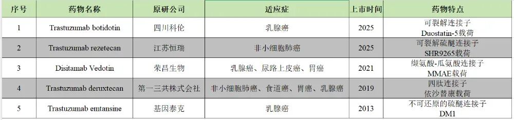 Strategic Planning in ADC Development: How to Innovate in the Crowded HER2 ADC Space?