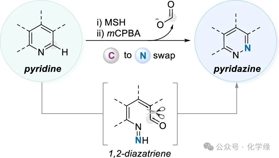 Skeletal Editing Strategy from Pyridine to Pyridazine by Sungwoo Hong at KAIST