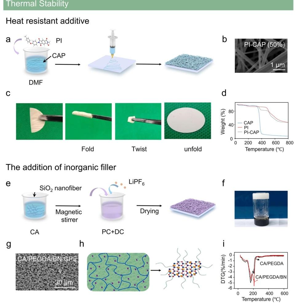 Lignocellulose-Mediated Gel Polymer Electrolytes: Enabling Next-Generation Energy Storage Devices
