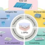 Lignocellulose-Mediated Gel Polymer Electrolytes: Enabling Next-Generation Energy Storage Devices