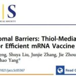 Engineering Thiol-Mediated Uptake Lipid Nanoparticles: Breaking Endosomal Barriers for Enhanced mRNA Expression