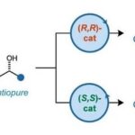Application of Asymmetric Catalysis in the E/Z-Stereodivergent Synthesis of Alkenes