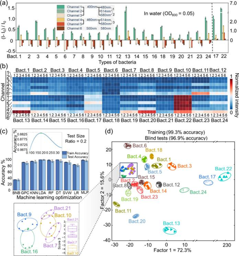 Literature Sharing | ACS Nano | Nanosensor-Based Pattern-Generating Probe Accelerates Sepsis Diagnosis
