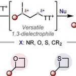A Universal New Strategy for the Synthesis of 2-Alkyl Tetrahydrocarbons via Photocatalysis: Direct Synthesis from Simple Alkenes