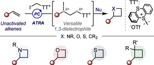 A Universal New Strategy for the Synthesis of 2-Alkyl Tetrahydrocarbons via Photocatalysis: Direct Synthesis from Simple Alkenes