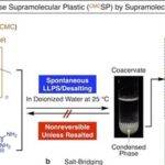 Choline Chloride Mediated Supramolecular Ionic Polymerization: Cellulose-Based Supramolecular Plastics with Widely Adjustable Mechanical Properties