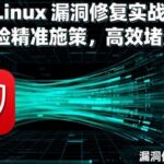 Practical Linux Vulnerability Patching: Targeted Strategies Based on Risk for Efficient Fixes