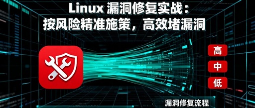 Practical Linux Vulnerability Patching: Targeted Strategies Based on Risk for Efficient Fixes