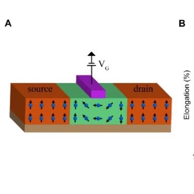 Scientists Discover Plastic Ferromagnetic Semiconductors