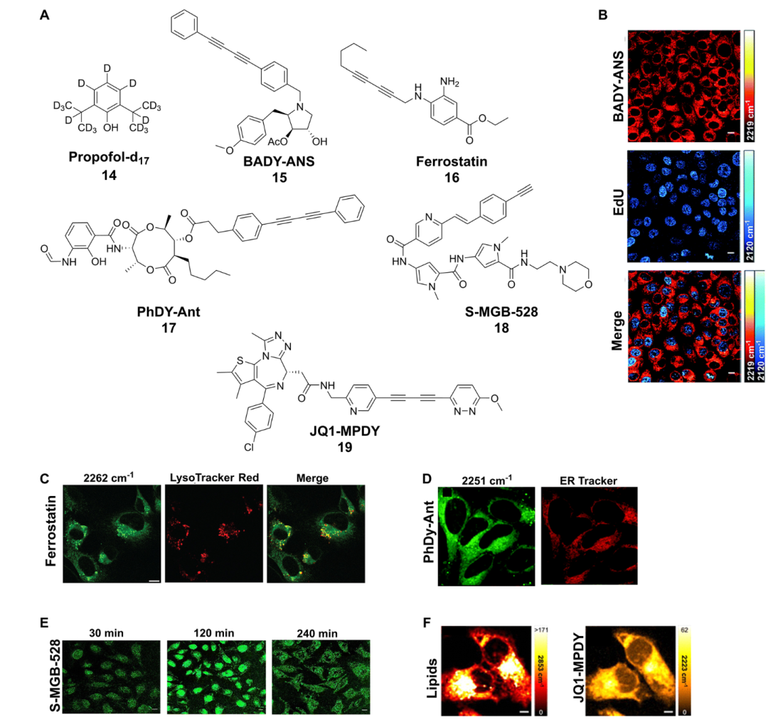 Emerging Applications of Stimulated Raman Scattering Microscopy for Medicinal Chemistry and Drug Discovery