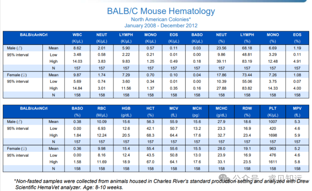 Common Laboratory Animal Mouse - BALB/c Mouse