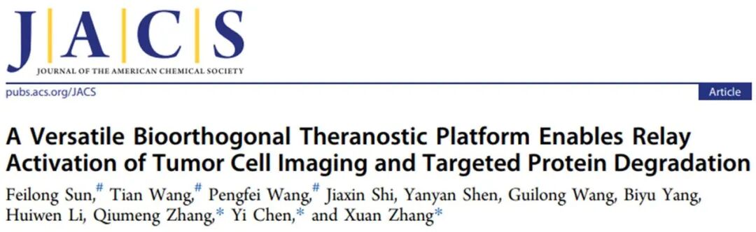 A Multifunctional Bioorthogonal Diagnostic and Therapeutic Platform for Relay Activation of Cancer Cell Imaging and Targeted Protein Degradation