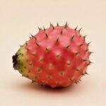 The Vitamin C Champion of Fruits! Its Vitamin C Content is 78 Times Higher than Oranges! Unfortunately, Many People Are Unaware