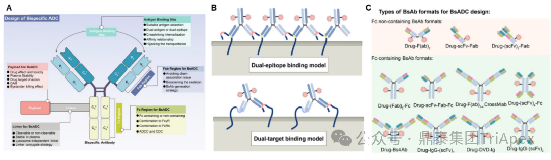 From Single Target to Multidimensional Breakthrough: The New Landscape and Strategic Evolution of Next-Generation ADC Drug Bioanalysis