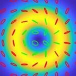 Visualizing Vector Light with Polarization States Using Python & MATLAB