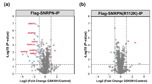 Decoding Arginine Dimethylation Isomers via pH-Tuned Reactivity with Methylglyoxal: A Chemical Approach for Functional Proteomics