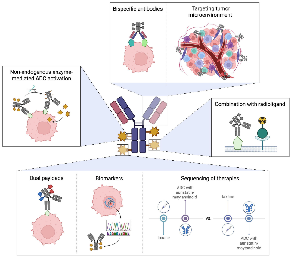 How Far Are ADCs from Treating Prostate Cancer?