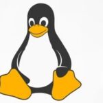 Goodbye SCP! Real-Time File Sharing Between Linux Machines: An NFS Practical Guide