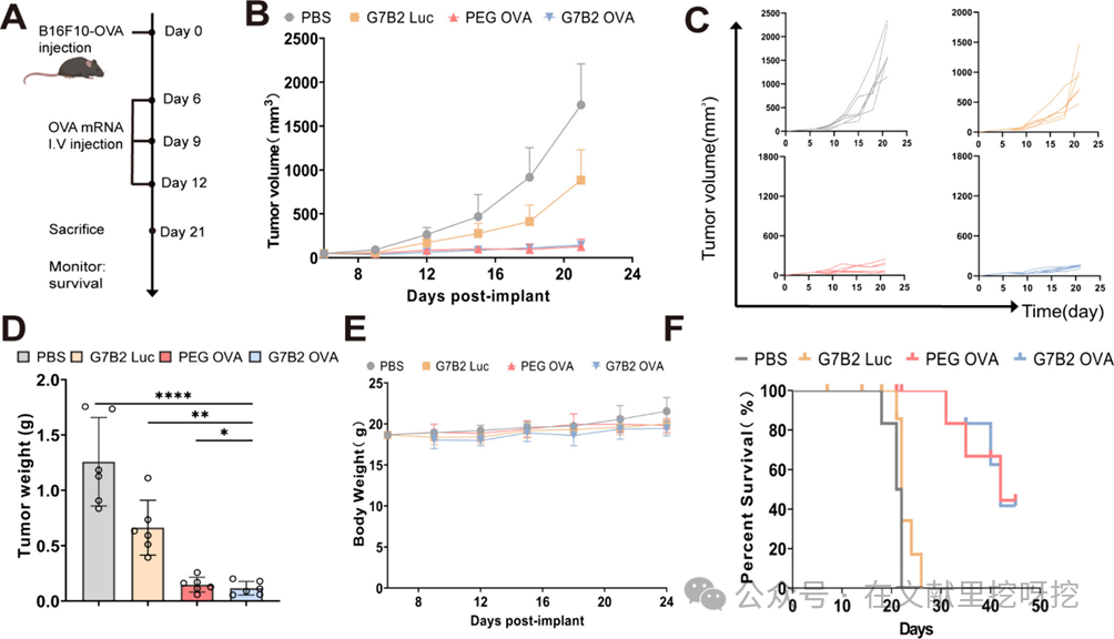 Engineering Natural Glycolipid-Based LNPs: An Efficient mRNA Delivery Platform Overcoming PEG Limitations