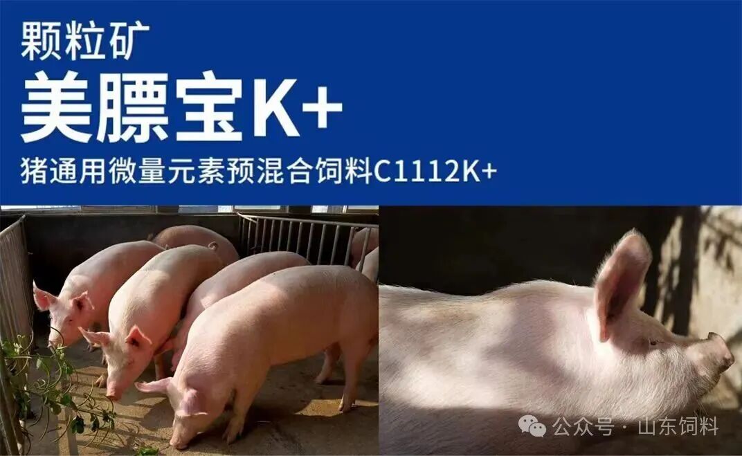 Leveraging Trace Element Chips to Transform Global Animal Nutrition
