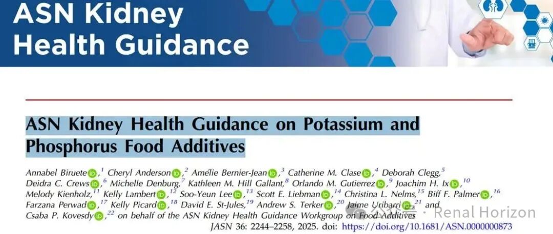 ASN Kidney Health Guidance on Potassium and Phosphorus Food Additives