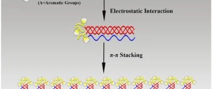 Peptide-Triggered Self-Assembly of Collagen Mimetic Peptides into Nanospheres via Electrostatic Interaction and π–π Stacking